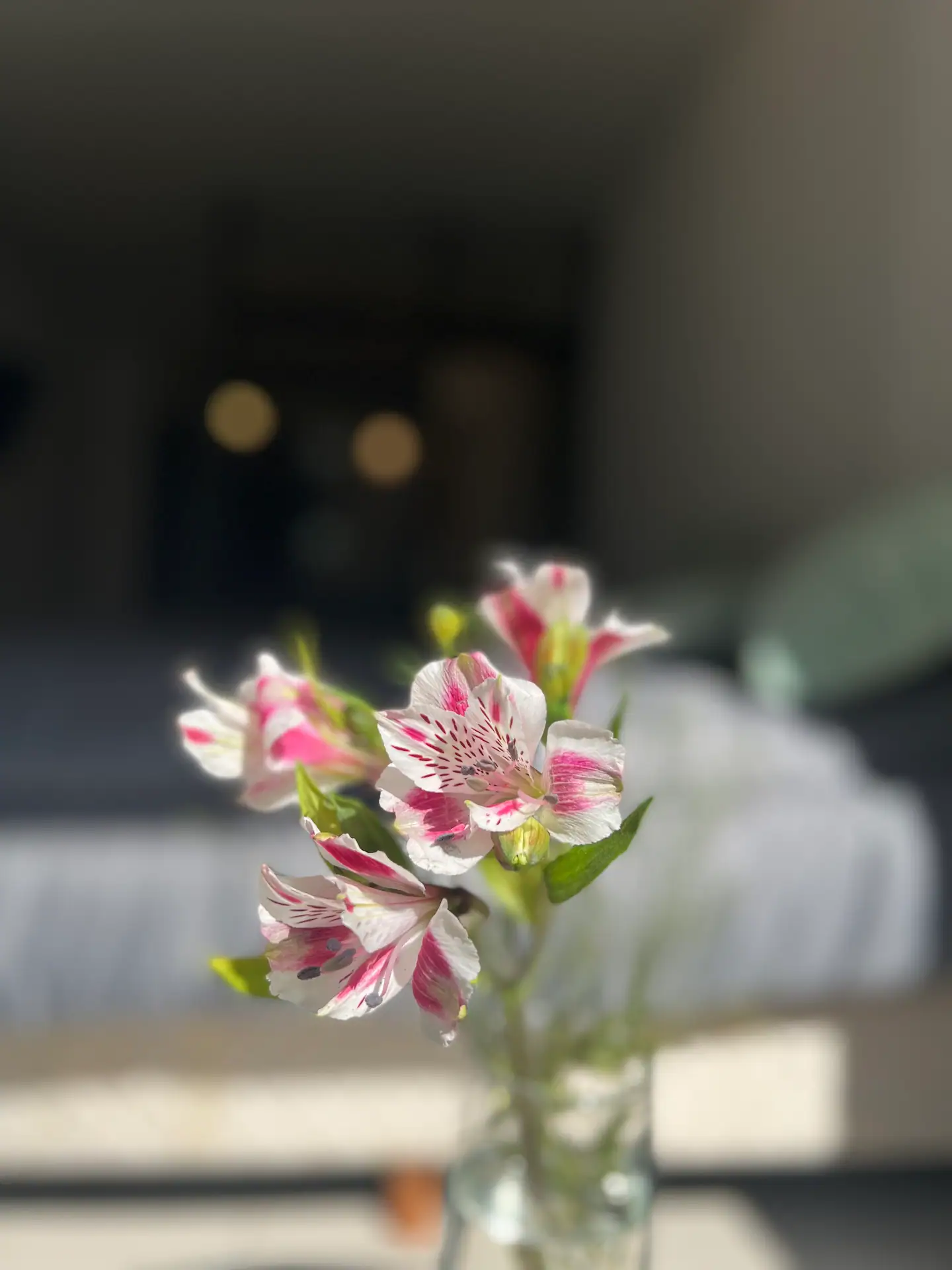 51aa50b2-c952-4a6c-b6b7-628ee1ca95d5