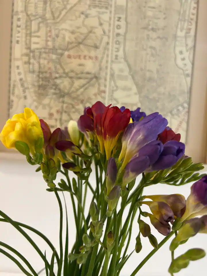 82c28160-1e68-48cd-998d-0d11c7f752a5